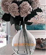 20200724_052011510_iOS.jpg