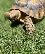 20200815_032508668_iOS.jpg