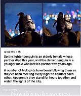 Filename=20201223_030500639_iOS.jpg
Filesize=127KiB
Dimensions=828x1472
Date added=Apr 19, 2021 20201223_030500639_iOS.jpg