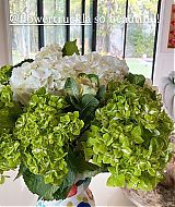 Filename=20210128_072653116_iOS.jpg
Filesize=216KiB
Dimensions=828x1472
Date added=Apr 19, 2021 20210128_072653116_iOS.jpg