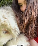 Filename=20221228_022341113_iOS.jpg
Filesize=274KiB
Dimensions=1284x2282
Date added=Mar 25, 2023 20221228_022341113_iOS.jpg