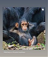 Filename=20221229_035343251_iOS.jpg
Filesize=186KiB
Dimensions=1242x2208
Date added=Mar 25, 2023 20221229_035343251_iOS.jpg
