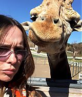 Filename=2018-02-22_10_10_15_1720438015384734123_5866377635.jpg
Filesize=175KiB
Dimensions=1080x1080
Date added=Apr 19, 2021 2018-02-22_10_10_15_1720438015384734123_5866377635.jpg