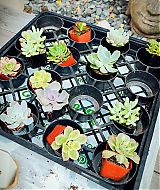 Filename=2018-06-18_09_41_20_1804466580369856486_5866377635.jpg
Filesize=240KiB
Dimensions=1080x1080
Date added=Mar 25, 2023 2018-06-18_09_41_20_1804466580369856486_5866377635.jpg