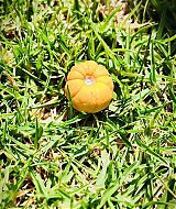 Filename=2018-06-18_18_12_01_1804724281168858890_5866377635.jpg
Filesize=283KiB
Dimensions=1080x1080
Date added=Apr 19, 2021 2018-06-18_18_12_01_1804724281168858890_5866377635.jpg