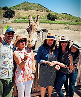 Filename=2018-06-26_16_34_21_1810473026601534202_5866377635.jpg
Filesize=2139KiB
Dimensions=1080x1080
Date added=Apr 19, 2021 2018-06-26_16_34_21_1810473026601534202_5866377635.jpg