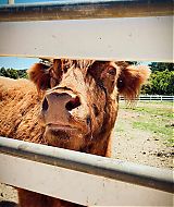 Filename=2018-06-26_16_34_21_1810473318827160610_5866377635.jpg
Filesize=1892KiB
Dimensions=1080x1080
Date added=Apr 19, 2021 2018-06-26_16_34_21_1810473318827160610_5866377635.jpg
