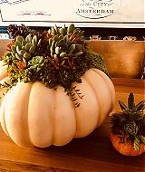 Filename=2018-09-19_11_00_43_1871911343747445394_5866377635.jpg
Filesize=143KiB
Dimensions=1080x1080
Date added=Apr 19, 2021 2018-09-19_11_00_43_1871911343747445394_5866377635.jpg