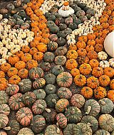 Filename=2018-10-06_16_04_23_1884385372958102352_5866377635.jpg
Filesize=350KiB
Dimensions=1080x1080
Date added=Apr 19, 2021 2018-10-06_16_04_23_1884385372958102352_5866377635.jpg