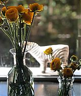 Filename=2019-03-31_12_41_37_2011843844493804256_5866377635.jpg
Filesize=114KiB
Dimensions=1080x1080
Date added=Apr 19, 2021 2019-03-31_12_41_37_2011843844493804256_5866377635.jpg