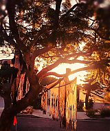 Filename=2019-10-15_16_08_23_2155453510655767351_5866377635.jpg
Filesize=280KiB
Dimensions=1440x1440
Date added=Mar 25, 2023 2019-10-15_16_08_23_2155453510655767351_5866377635.jpg