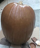 Filename=2019-11-09_18_25_24_2173672061074048329_5866377635.jpg
Filesize=144KiB
Dimensions=1080x1080
Date added=Apr 19, 2021 2019-11-09_18_25_24_2173672061074048329_5866377635.jpg