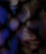 Filename=1998-IStillKnowWhatYouDid-0075.jpg
Filesize=69KiB
Dimensions=1920x800
Date added=Apr 04, 2021 1998-IStillKnowWhatYouDid-0075.jpg