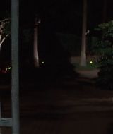 Filename=2001-Heartbreakers-1020.jpg
Filesize=95KiB
Dimensions=1864x800
Date added=Jun 19, 2022 2001-Heartbreakers-1020.jpg