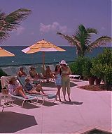 Filename=2001-Heartbreakers-1032.jpg
Filesize=190KiB
Dimensions=1864x800
Date added=Jun 19, 2022 2001-Heartbreakers-1032.jpg