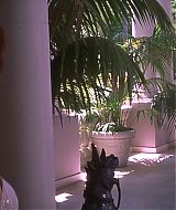 Filename=2001-Heartbreakers-1158.jpg
Filesize=160KiB
Dimensions=1864x800
Date added=Jun 19, 2022 2001-Heartbreakers-1158.jpg