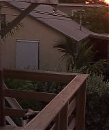 Filename=2001-Heartbreakers-1223.jpg
Filesize=129KiB
Dimensions=1864x800
Date added=Jun 19, 2022 2001-Heartbreakers-1223.jpg