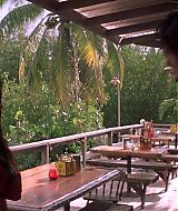 Filename=2001-Heartbreakers-1524.jpg
Filesize=166KiB
Dimensions=1864x800
Date added=Jun 19, 2022 2001-Heartbreakers-1524.jpg
