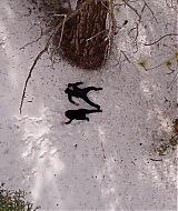 9-1-1-S02E13-448.jpg