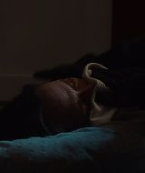 Filename=9-1-1-S08E09-726.jpg
Filesize=60KiB
Dimensions=1920x1080
Date added=Mar 09, 2025 9-1-1-S08E09-726.jpg