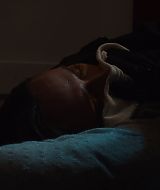 Filename=9-1-1-S08E09-728.jpg
Filesize=65KiB
Dimensions=1920x1080
Date added=Mar 09, 2025 9-1-1-S08E09-728.jpg